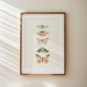 May include: A framed print featuring a vertical arrangement of five watercolor butterflies in shades of pink, green, and brown. The butterflies are arranged in a row, with the largest butterfly at the bottom and the smallest butterfly at the top.