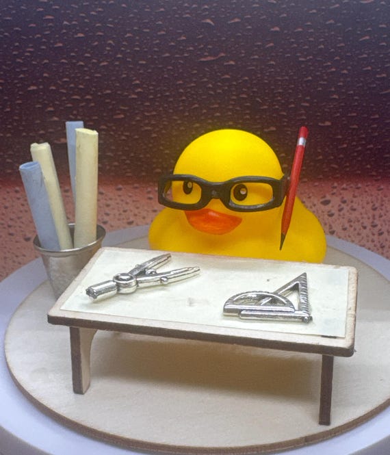 Architect Duck,