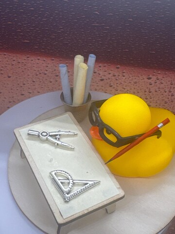 Architect Duck,