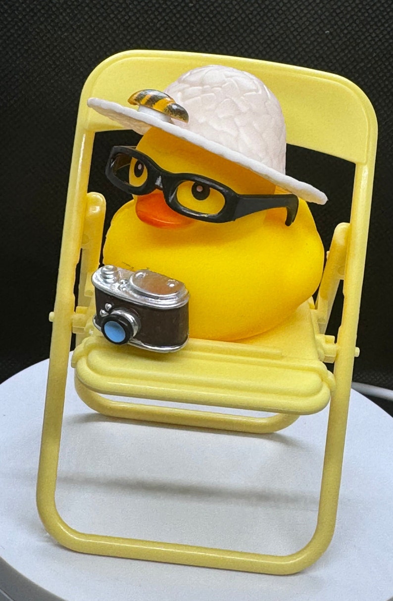 Lawn Chair for Your Duck/ Duck Not Included. Etsy