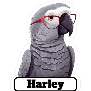 Vinyl Decal, African Grey Parrot Cartoon, Smart Bird Sticker, Laptop Decal, Car Decal, Bird Lover Gift, Parrot Owner, Tropical Animal Decal