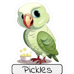 Calcomanía de vinilo, linda caricatura de loro cuáquero, calcomanía divertida personalizada de loro cuáquero, regalo para amantes de los loros, calcomanía para amantes de las aves, calcomanía para computadora portátil