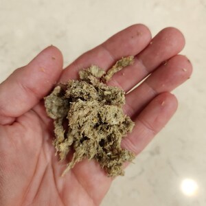 May include: A hand holding a clump of dried, shredded material. The material is a mix of light brown and tan colours, with a slightly fibrous texture. The background is a light-coloured surface.