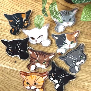 May include: Nine cat-shaped acrylic pins in various colours and patterns. The pins feature different cat breeds, including black, white, grey, and orange tabby designs. Each pin has a clear border and a playful expression.