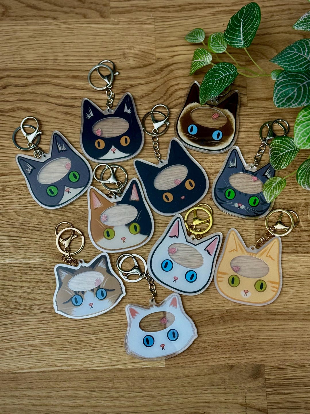 Pea-brained Kitty Shaker Keychains - One Braincell Cat Shaker Keychain ...