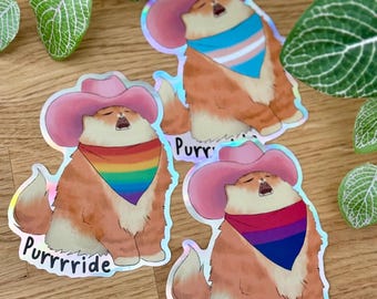 Purrrride Sticker - Gay Pride / Bi Pride / Trans Pride - Holographic Water Resistant Sticker - Cat Sticker