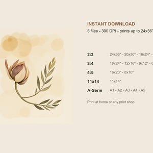 Dried Lotus Pod Print, Japandi Wall Art, Sand Olive Botanical Wall Art, Neutral Living Room Art, Printable Digital Download image 5