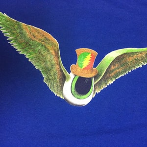 May include: A green eye with a brown and red hat, wearing wings with green and brown feathers, on a blue background.