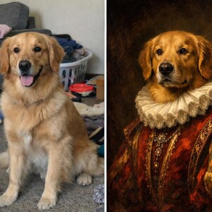 Könnte beinhalten: Ein geteiltes Bild zeigt einen Golden Retriever. Links ist der Hund in einer ungezwungenen Umgebung zu sehen. Rechts ist ein Renaissance-Porträt des Hundes mit Rüschenkragen und einem rot-goldenen Gewand.