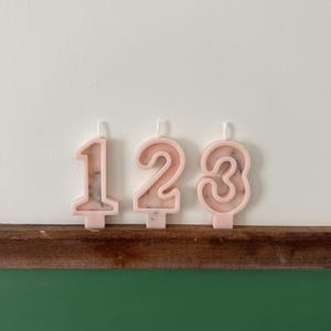 Pink blush, Number Birthday Candles, Baby Pink, Birthday Party, Cake Candle, Number Candle, Cake Topper, Dried Flowers, Dried Nature