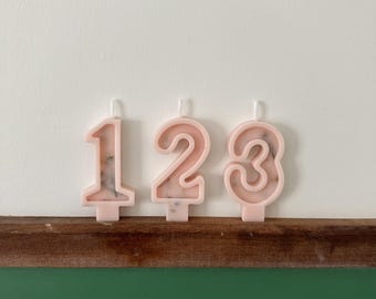 Pink blush, Number Birthday Candles, Baby Pink, Birthday Party, Cake Candle, Number Candle, Cake Topper, Dried Flowers, Dried Nature