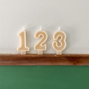 Number Birthday Candles - White, Cream, Ivory, Dried Nature Flowers, Birthday Party, Cake Candle, Number Candle, Cake Topper, First Birthday