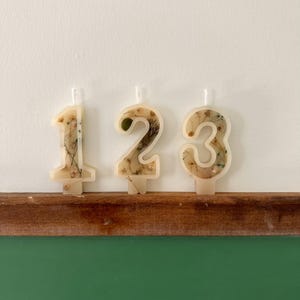 Number Birthday Candles - Winter Incapsulated, Dried Nature, Flowers, Birthday Party, Cake Candle, Number Candle, Cake Topper