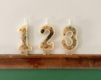 Number Birthday Candles - Winter Incapsulated, Dried Nature, Flowers, Birthday Party, Cake Candle, Number Candle, Cake Topper