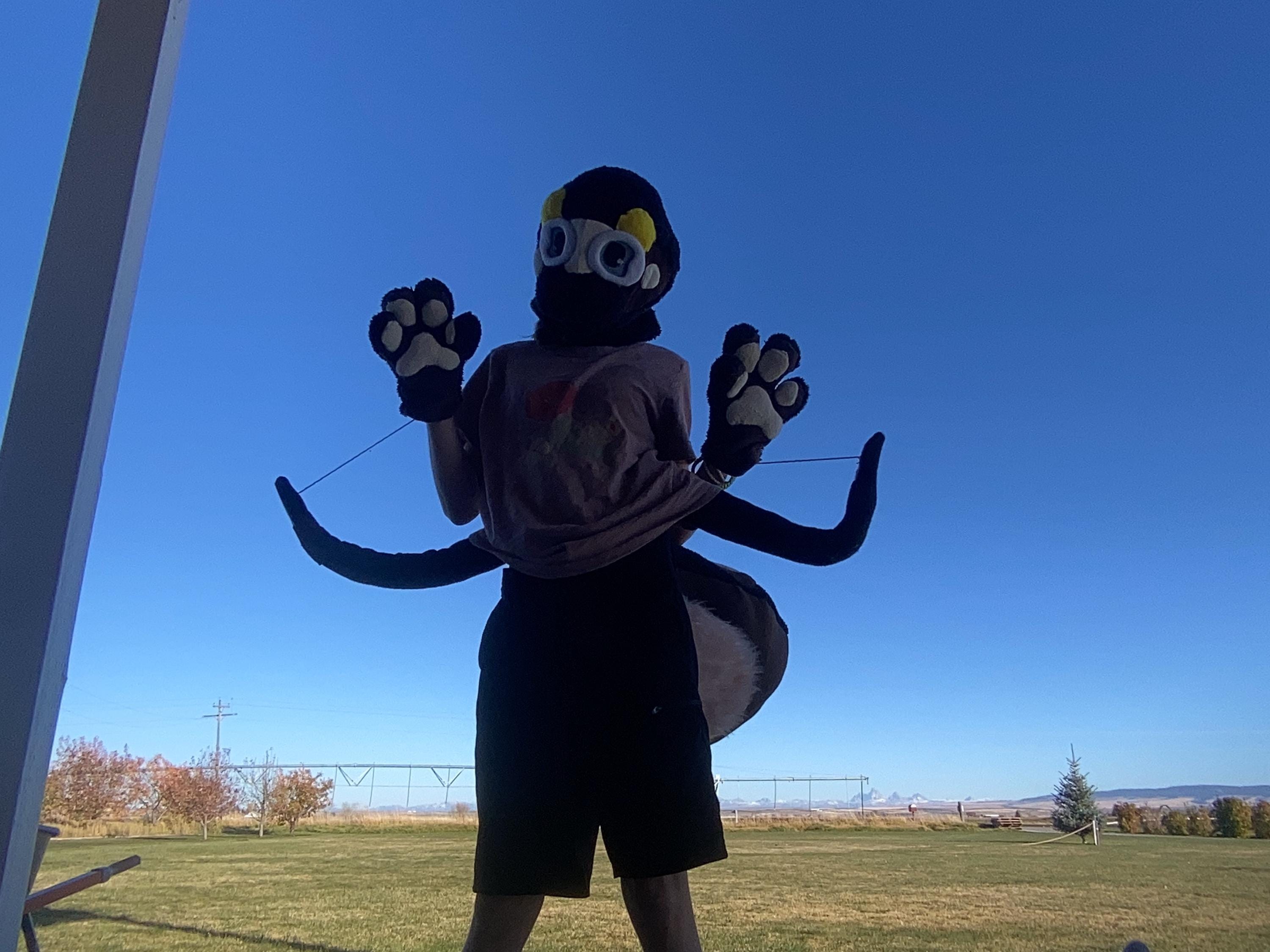 Spider fursuit partial for