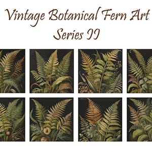 May include: A set of eight vintage botanical fern art prints. Each print features a different type of fern with intricate details and a dark green and brown color scheme. The prints are arranged in a grid pattern and are labeled "Vintage Botanical Fern Art Series 99".