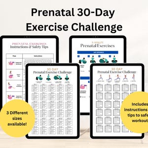 Pregnancy Workout Plan Etsy UK