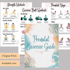 May include: A printable prenatal exercise guide with three digital prints. The guide includes strength workouts, exercise ball workouts, and prenatal yoga poses. The guide features illustrations of women performing the exercises.
