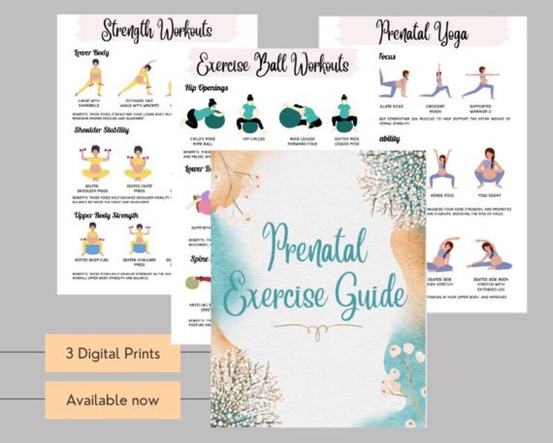 May include: A printable prenatal exercise guide with three digital prints. The guide includes strength workouts, exercise ball workouts, and prenatal yoga poses. The guide features illustrations of women performing the exercises.