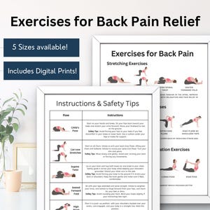 May include: Printable guide with illustrations of back pain relief exercises. The guide includes stretching exercises like the child's pose, cat-cow stretches, and seated forward fold. It also includes strengthening exercises like the side plank and high plank with shoulder taps. The guide includes instructions and safety tips for each exercise.