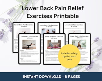 Lower Back Pain Relief Exercises, Stretching Routine for Back Pain, Physical Therapy Worksheet, Sciatica Stretches, Chronic Pain Rehab Guide