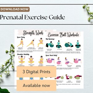 May include: A printable prenatal exercise guide with illustrations of women performing exercises using a stability ball. The guide includes strength work, hip openings, and lower back relief exercises. The text on the guide says "Strength Works", "Exercise Ball Workouts", "Lower Body", "Hip Openings", "Shoulder Stability", "Lower Back Relief", and "3 Digital Prints".