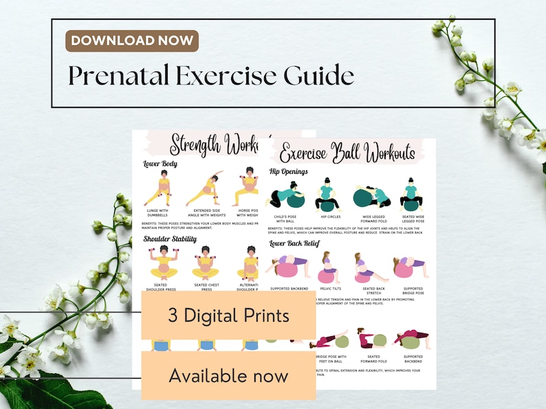 May include: A printable prenatal exercise guide with illustrations of women performing exercises using a stability ball. The guide includes strength work, hip openings, and lower back relief exercises. The text on the guide says "Strength Works", "Exercise Ball Workouts", "Lower Body", "Hip Openings", "Shoulder Stability", "Lower Back Relief", and "3 Digital Prints".