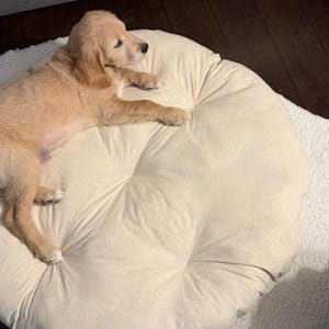 Enchimento para cama redonda de cachorro em musselina natural: Almofada de algodão cru