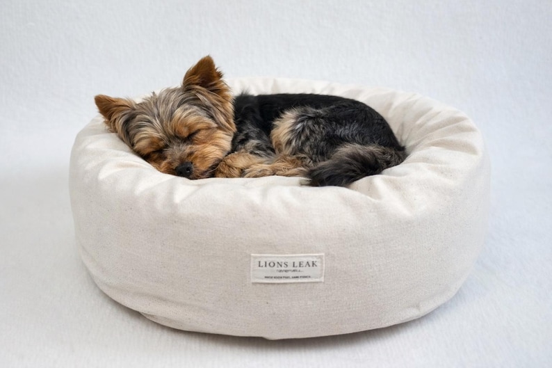 Small dog sleeping in organic cotton donut dog bed with natural raw cotton filling, soft supportive sides, and washable removable cover.