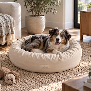 Australian Shepherd resting on a 35 inch natural cotton donut dog bed with a soft raised bolster in a modern living room.
