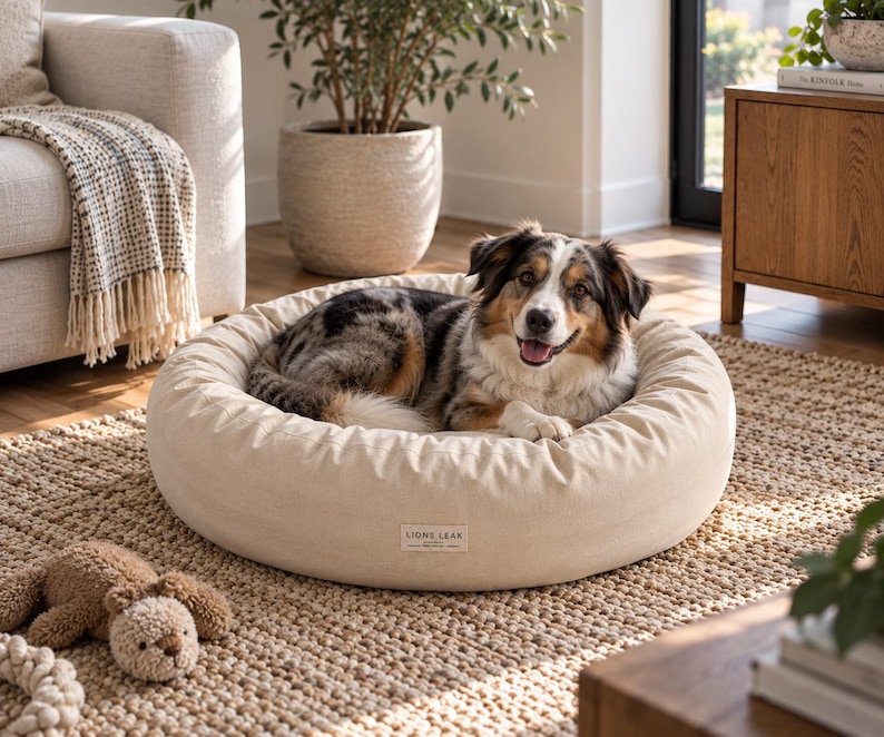Australian Shepherd resting on a 35 inch natural cotton donut dog bed with a soft raised bolster in a modern living room.