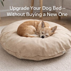 Natural Cotton Dog Bed Cover, Washable Canvas Dog Bed Cover, Non Toxic Pet Bed Cover, Round Replacement Cover, Durable Zipper