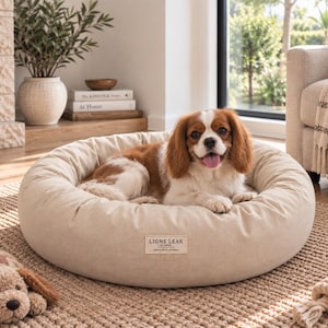 Small dog relaxing on a 28 inch natural cotton donut dog bed with raised bolster sides in a cozy modern home.