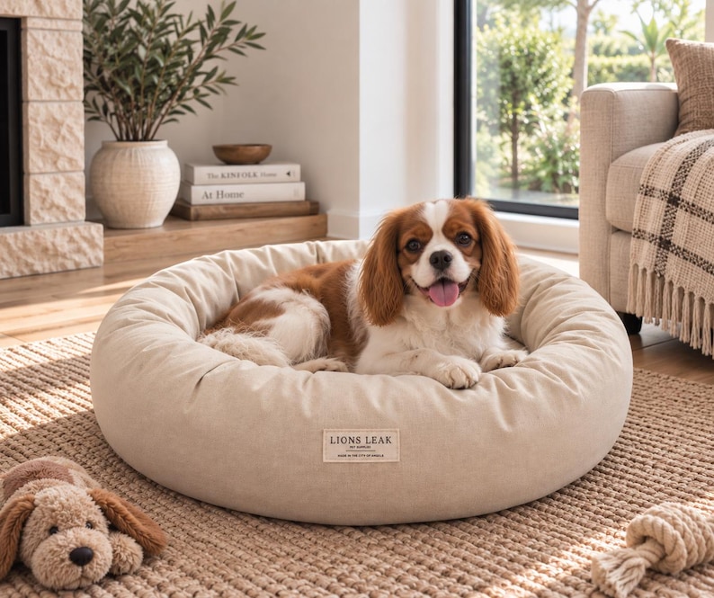 Small dog relaxing on a 28 inch natural cotton donut dog bed with raised bolster sides in a cozy modern home.