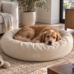 Golden Retriever relaxing on a 42 inch natural cotton donut dog bed with raised bolster sides in a neutral modern home.