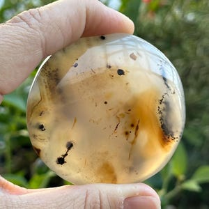 Gorgeous Dendritic Agate Palm Stone