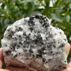 Stunning Chalcopyrite with Quartz