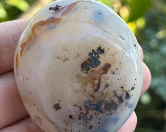 Small Dendritic Agate Palm Stone from Madagascar