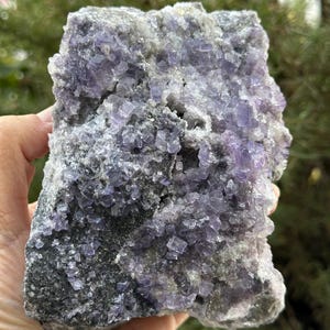 Fluorite with Quartz on Matrix from Spain