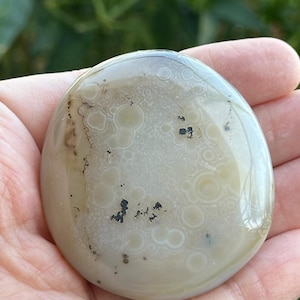 Beautiful Dendritic Agate Palm Stone