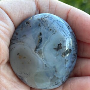 Beautiful Dendritic Agate Palm Stone