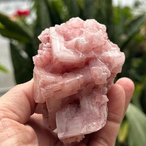 May include: A light pink mineral specimen with a crystalline structure. The mineral has a layered appearance and is held in a hand. The background is blurred, showing green foliage.