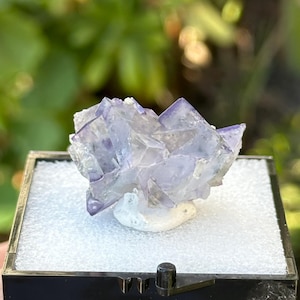Beautiful YGX Fluorite with Quartz Specimen