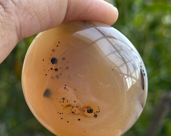 Lovely Dendritic Agate Palm Stone