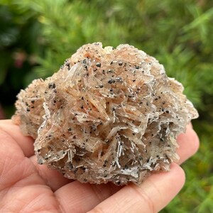 Fascinating Barite Specimen from Morocco