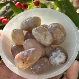 One (1) Beautiful Flower Agate Tumble