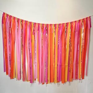 TEQUILA SUNRISE | Margs & Matrimony | Dazed and Engaged | Fringe Banner/Backdrop | Custom | Bach Party