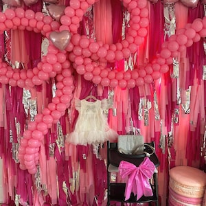 Pink Fringe Backdrop: Birthday Party Photo Booth Decor