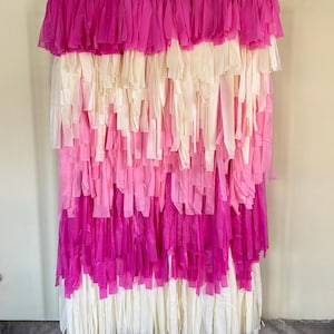 Pink Ombré Fringe Backdrop: Bachelorette or Birthday Party Photo Booth Decor