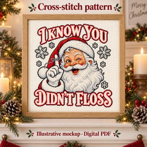 Puede incluir: Un patrón de punto de cruz enmarcado que muestra a un Santa Claus guiñando un ojo con barba blanca y gorro rojo, señalando con un dedo hacia arriba. El texto dice I KNOW YOU DIDN'T FLOSS en letras rojas y negras, rodeado de copos de nieve.